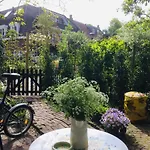 Clematis *