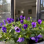 Clematis アパート