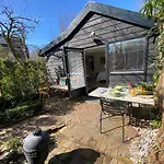 Clematis * ベルゲン