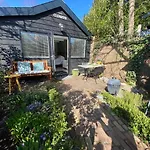 Clematis * ベルゲン