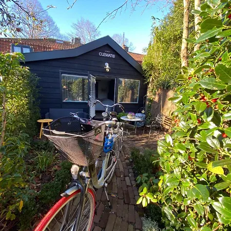 Appartement Clematis Bergen