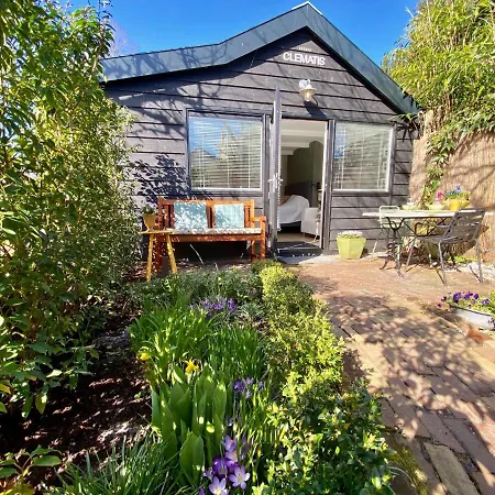 Clematis * Берген