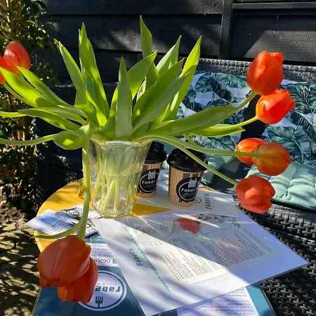 Clematis * Берген