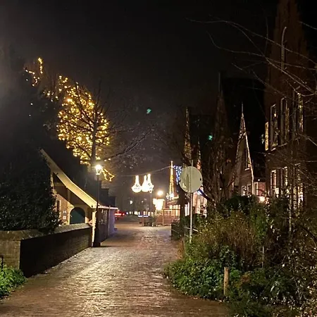 Clematis * Берген