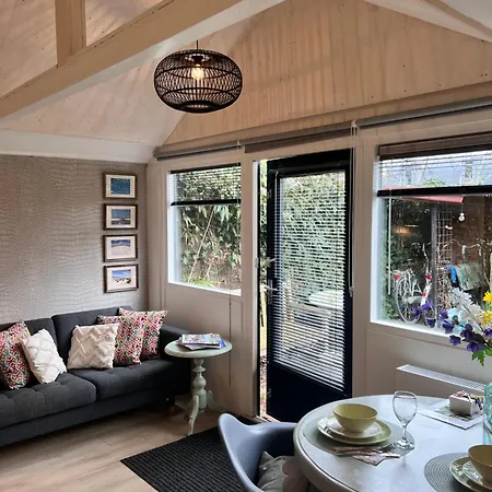 Clematis * Берген