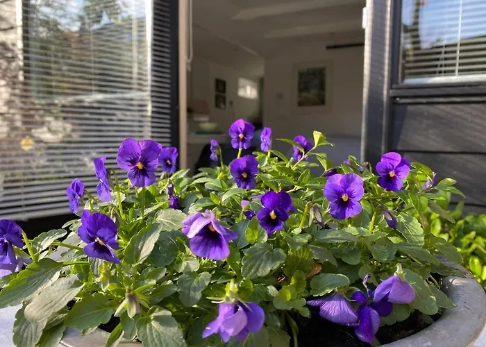 Clematis Apartamento