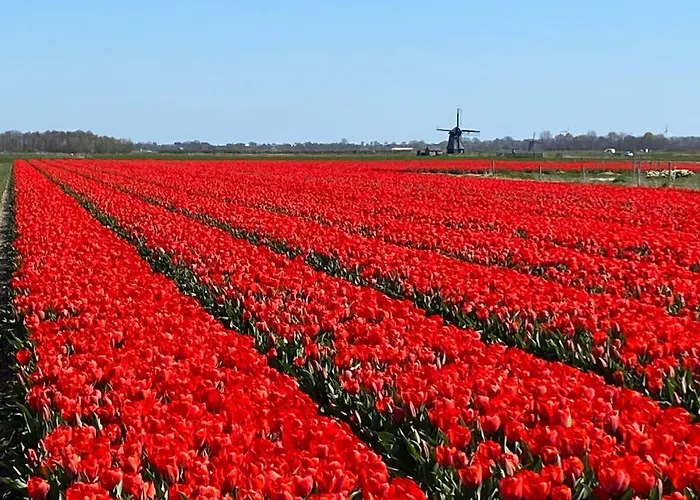 Clematis アパート