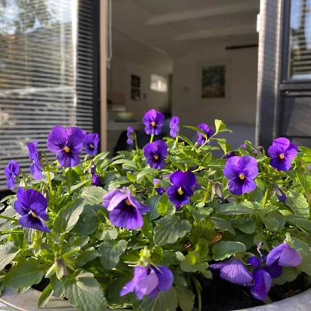 Clematis Apartamento