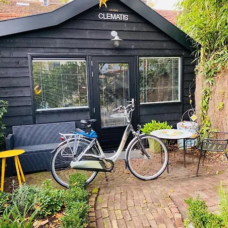 Apartamento Clematis *