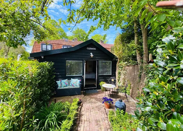 Clematis Апартаменты