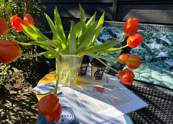 Clematis * Берген