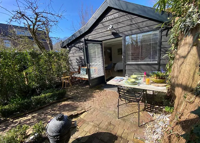 Clematis * Берген