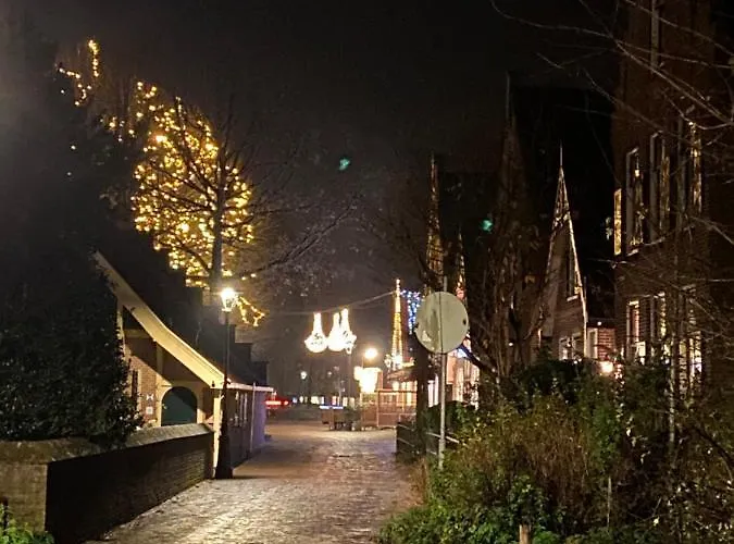 Clematis * Берген