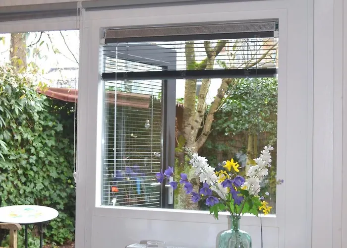 Апартаменты Clematis