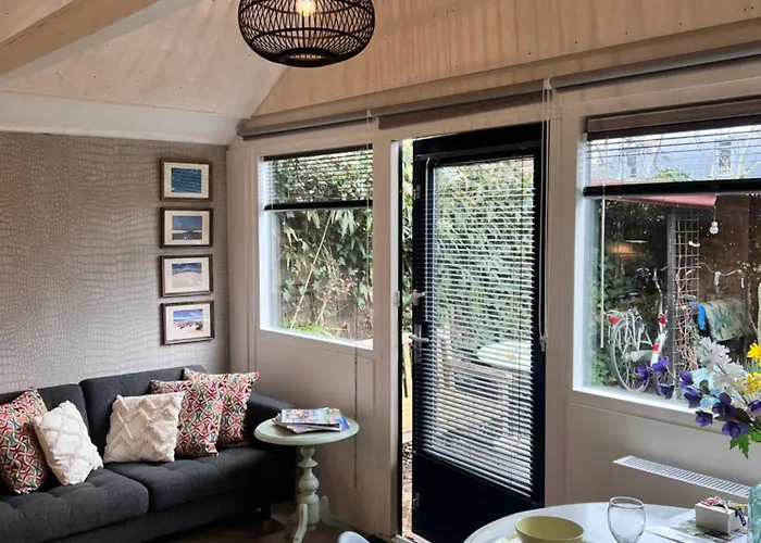 Clematis * Берген